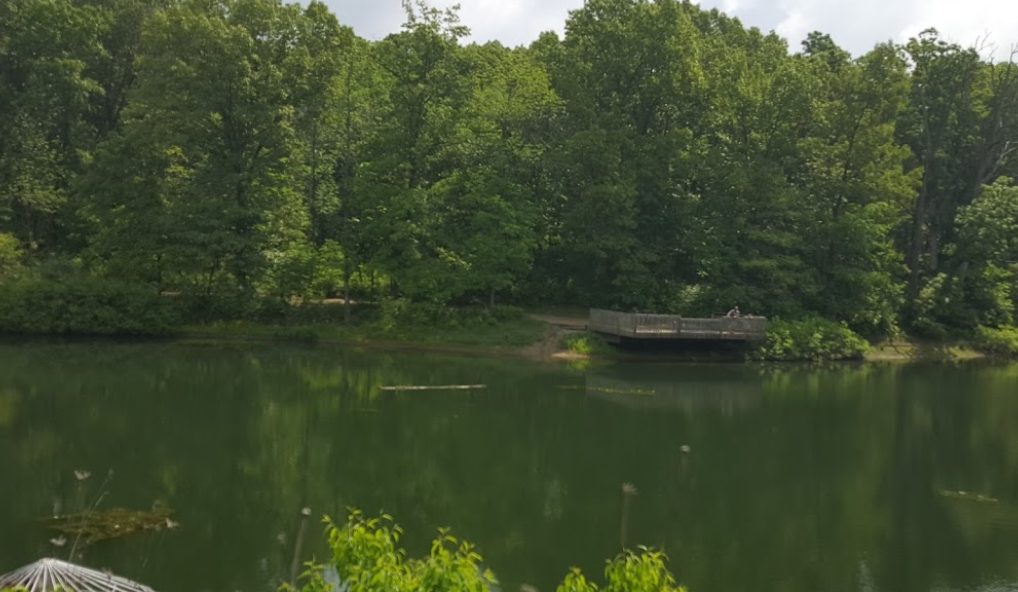 Rock Springs Conservation Area